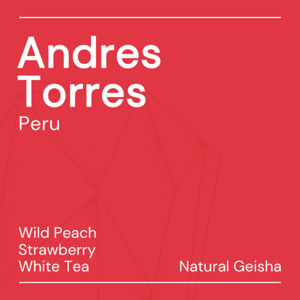 andrès torres geisha