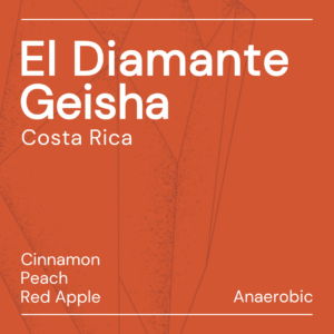 El Diamante Geisha Costa Rica Keen Coffee | 11-2024