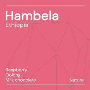 Hambela Ethiopia Keen Coffee | 11-2024