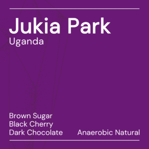 Jukia Park Uganda Keen Coffee | 10-2024