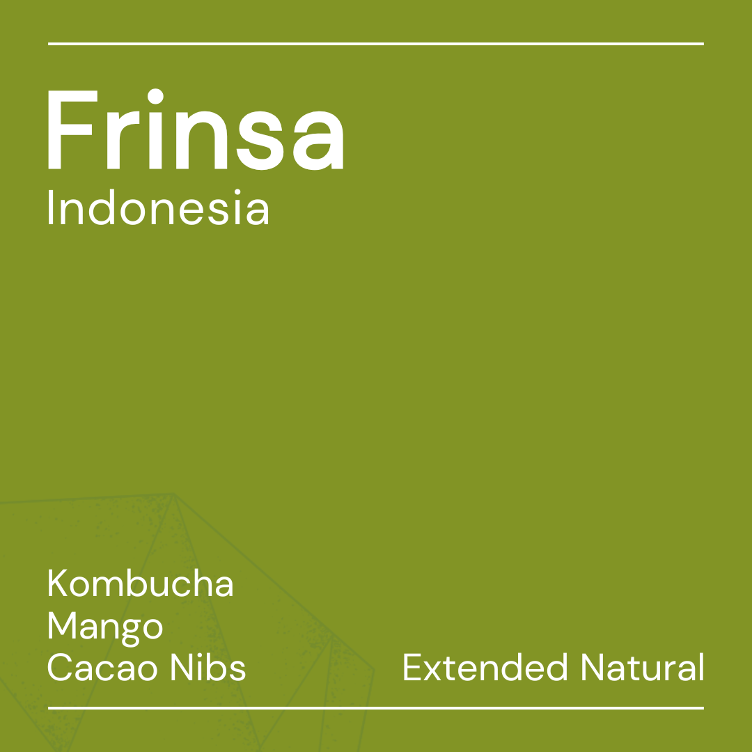 frinsa