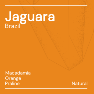 jaguara