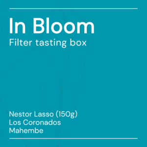 in bloom filter tasting box
