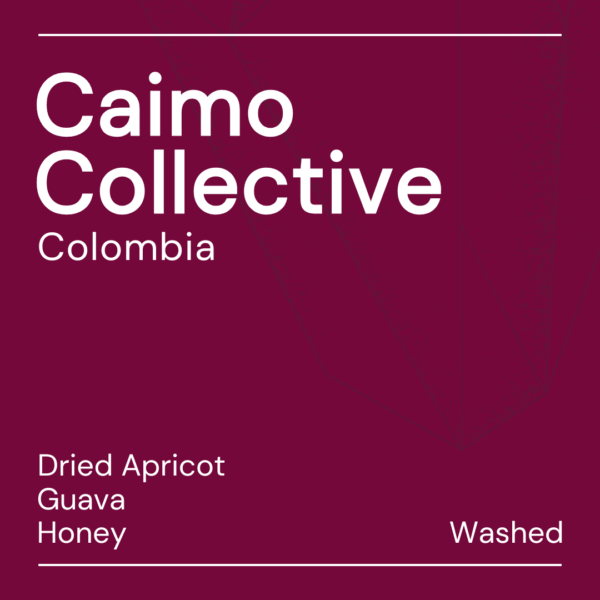 caimo collective