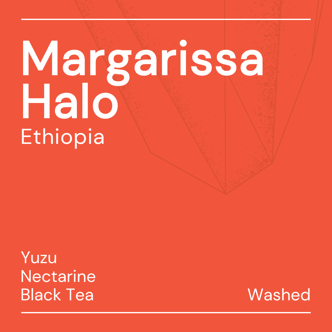 margarissa halo