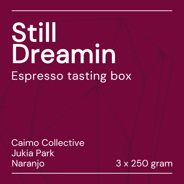 still dreamin espresso tasting box
