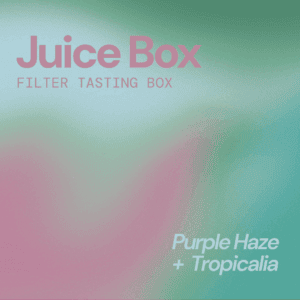 toto filter tasting box