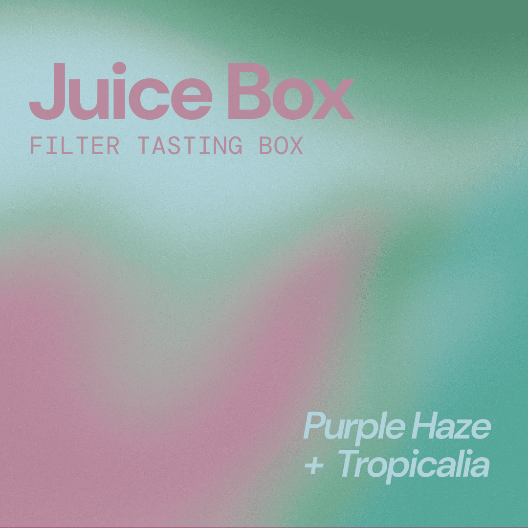 toto filter tasting box