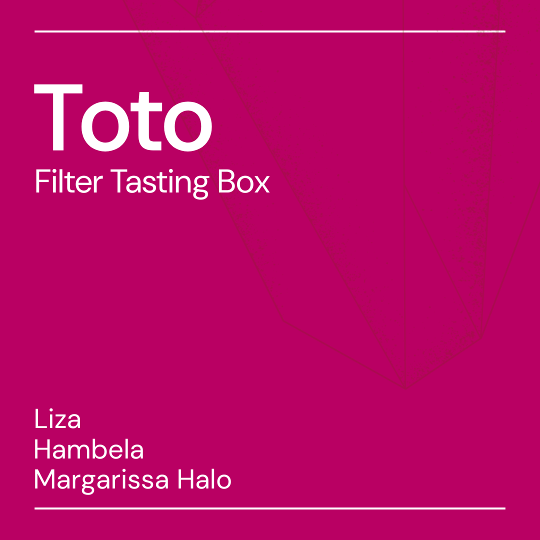 toto filter tasting box