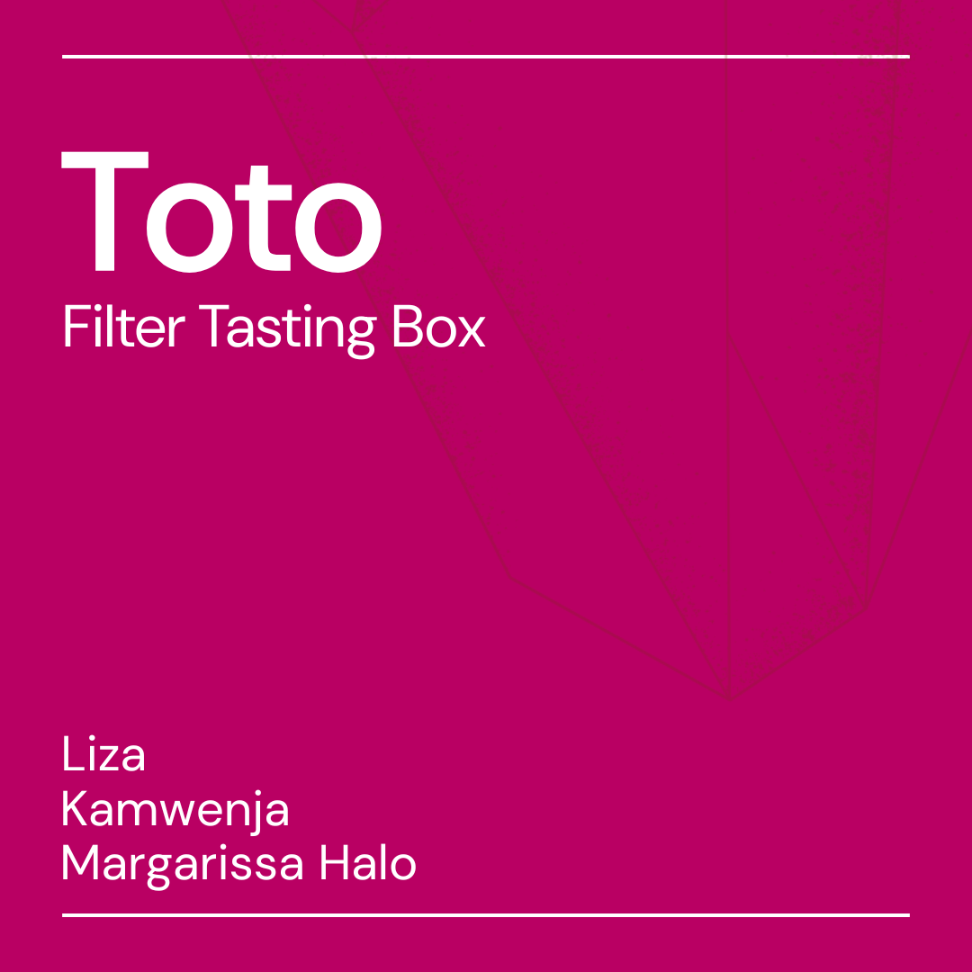 toto filter tasting box