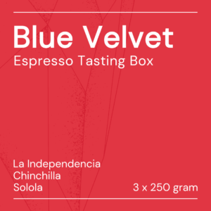 still dreamin espresso tasting box (copy)