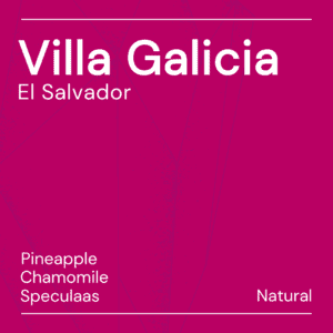 villa galicia