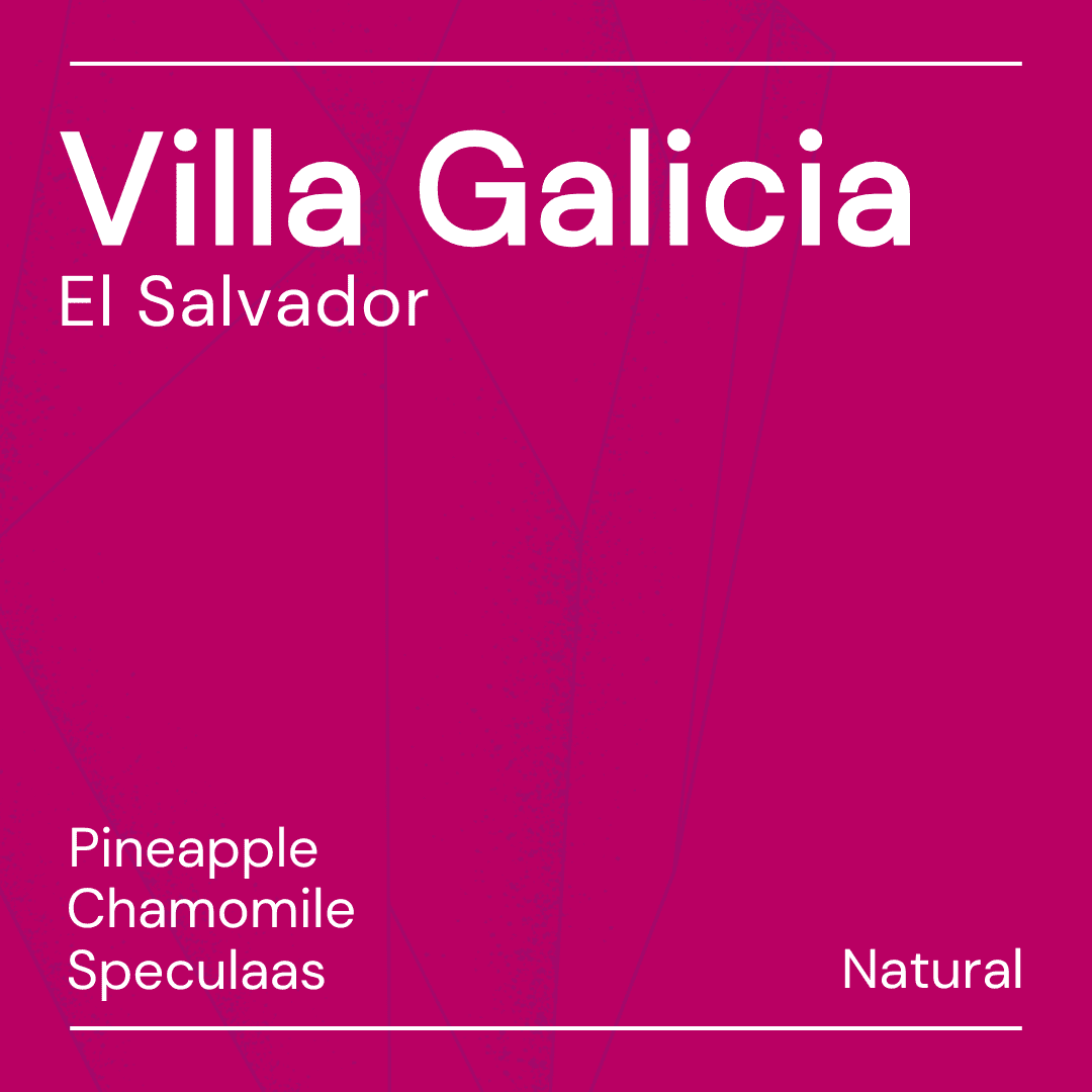 villa galicia