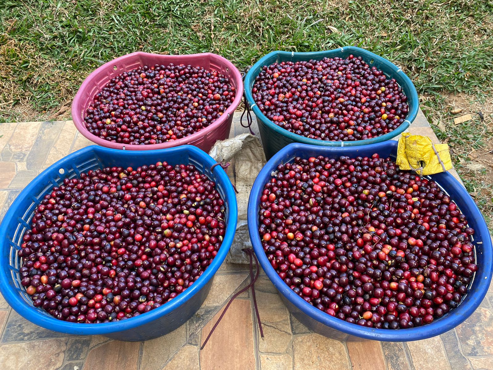 el diamante la minilla