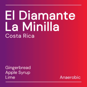 el diamante la minilla