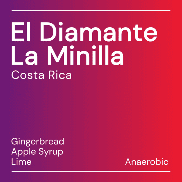 El Diamante La Minilla