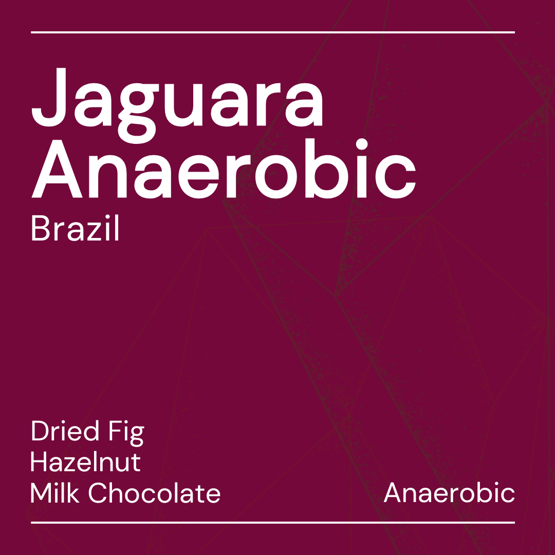 jaguara anaerobic