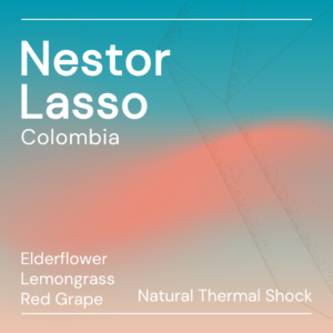 nestor lasso