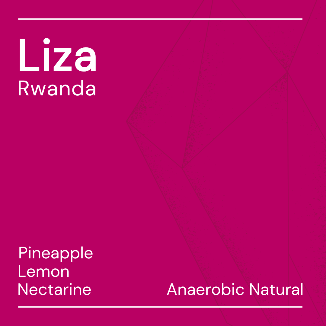 liza