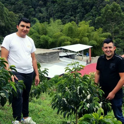 el diviso