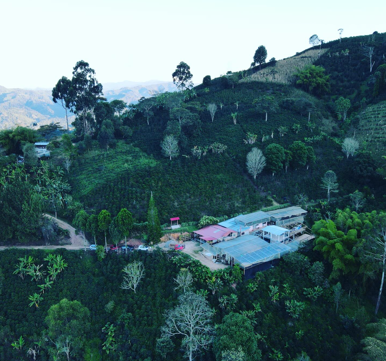 el diviso