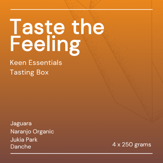 taste the feeling essentials tasting box