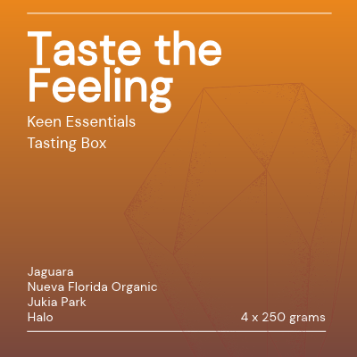 taste the feeling essentials tasting box