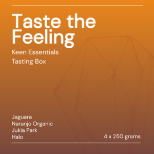 taste the feeling essentials tasting box