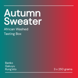 autumn sweater